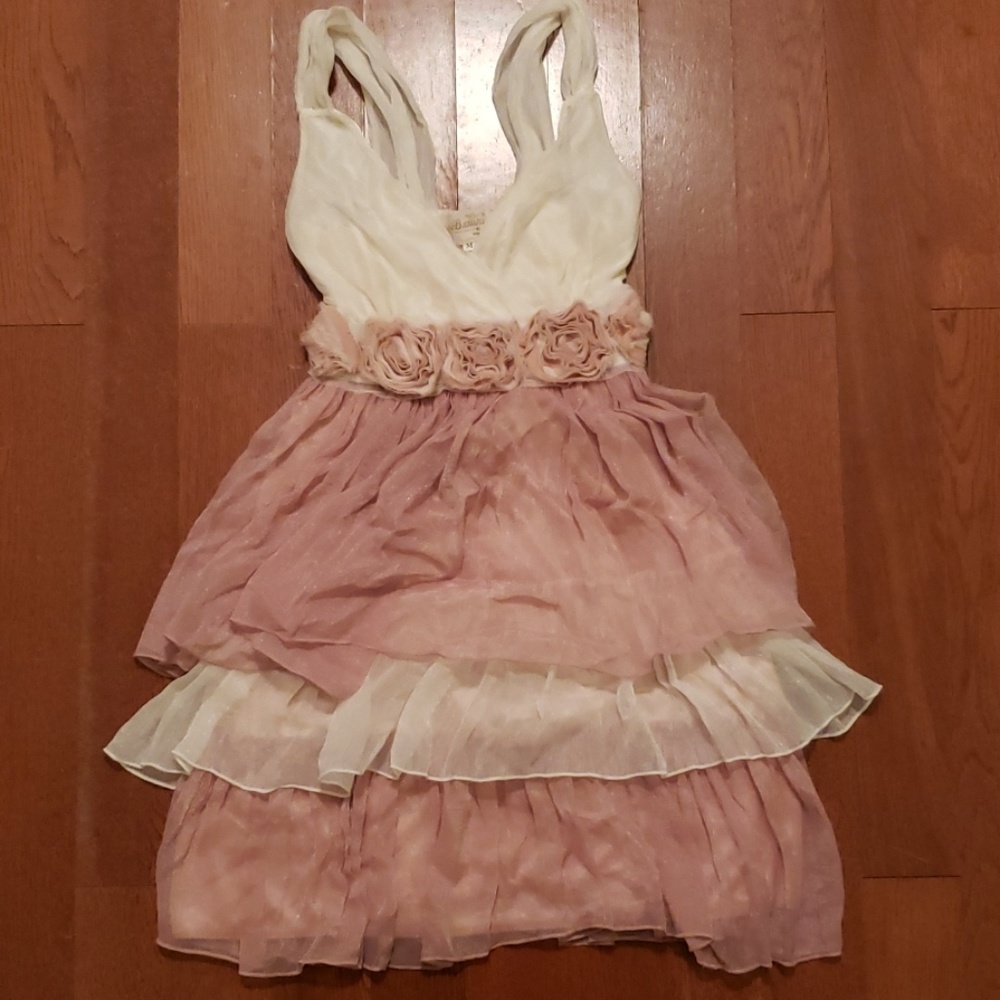 Banana Brand Sheer Layered Floral Dress
